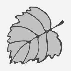 Foliage stylized vector drawing, single leaf in vector with gray color outline. Botany for printing products from fabric, covers, paper, upholstery, curtains