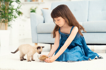 A cute little girl sits in a room on a carpet and feeds a little kitten. Children and animals, pet care concept