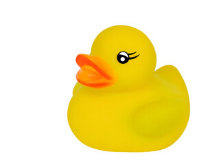 rubber yellow duck for swimming, children's toy on white isolated background, the concept of bathing in a bath, watching the underwater currents, Great Singapore Duck Race, Great British Duck Race