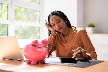 Young Woman Calculating Finance