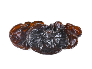 black fungus isolated on white background