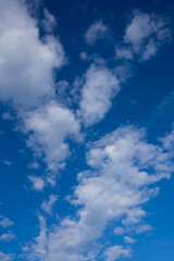 Fototapeta premium 青空