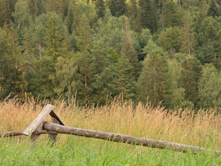 Pastwisko  © Łukasz