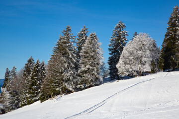 Winter in alps