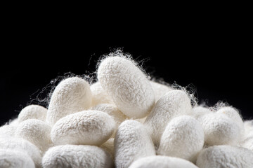 Natural silkworm cocoons isolated on black background