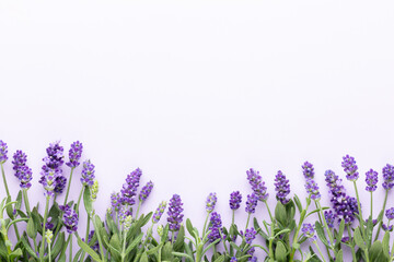 Flowers composition, frame made of lavender flowers on pastel background. - obrazy, fototapety, plakaty