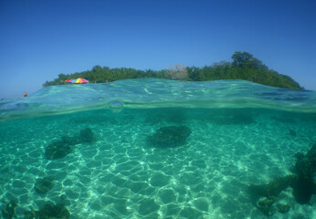 underwater scene , paradise beach , caribbean sea , Venezuela