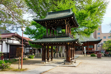 樹齢1200年を超える飛騨国分寺の大イチョウ（岐阜県高山市）