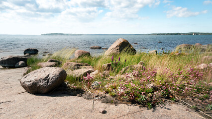 Åland archipelago. Summer landscape with wild bushes on bay.