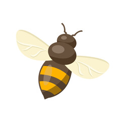 Flying Bee isolated on white background vector illustration. Cute cartoon character. Flat style