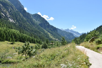 Fototapeta na wymiar panorama alta Valle Formazza, Italy