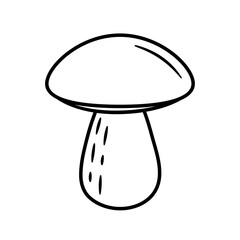 Mushroom.  Hand drawn sketch forest element. Isolated vector illustration in doodle line style.
