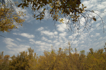 Forest and clouds in Niokolo Koba National Park. Tambacounda. Senegal.