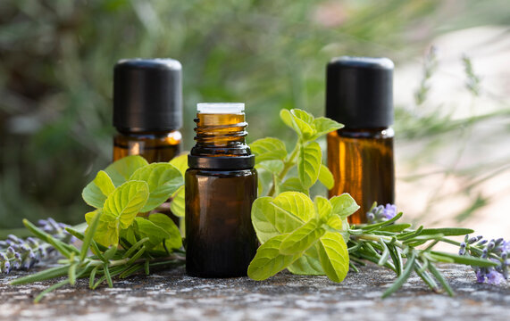 Close-up of three brown bottles with natural herbal oil and twigs of rosemary, lavender and peppermint