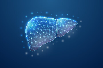 Liver 3d symbol in blue low poly style. Hepatitis, human transplantation design concept illustration. Organ anatomy polygonal wireframe.