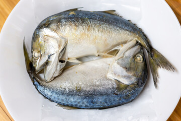 Mackerel should not be caught during the spawning season