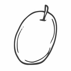 Hand drawn plum. Illustration doodle eps 10 vector.