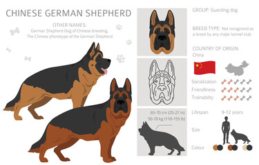 Chinese German shepherd clipart. Different poses, coat colors set