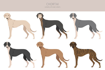 Chortai clipart. Different poses, coat colors set