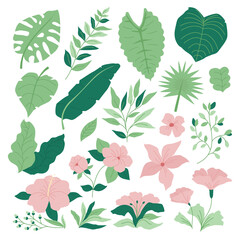 Vintage Set of Green Tropic Flower, Foliage Collection with colorful floral Botanical bundle Elements. Nature of plants garden. Hand drawn Flat Style, suitable for wedding invitation or banner 