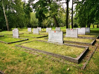 Cmentarz żołnierzy radzieckich w Kaliszu - obrazy, fototapety, plakaty