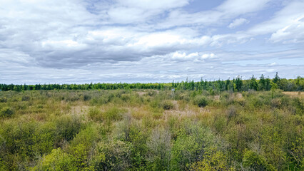 Fototapeta premium Natural Springtime Meadow in Rural Wisconsin USA