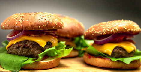 CLOSE-UP PICTURE OF HOMEMADE HAMBURGERS