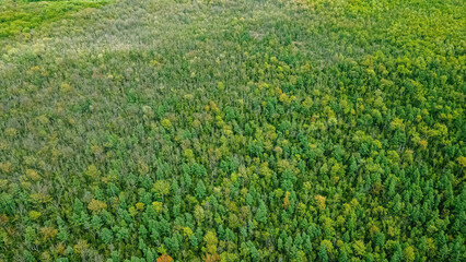 Aerial View of a Natural Spring Forest in Wisconsin