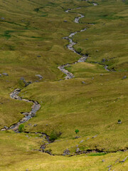 A little winding river stream rolling down a beautiful green Scottish valley