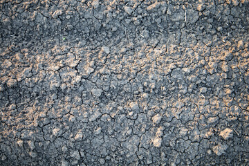 Dried up fertile soil, drought.High quality photo