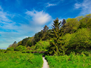 The path into the forest of Bennet's Patch and White Paddock Nature Reserve near Bristol