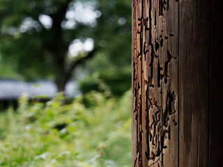 寺院の柱の虫食い跡