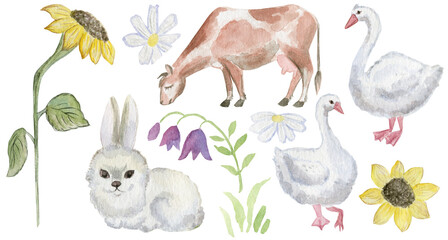 Domestic rural animals. Cow, geese, rabbit. Watercolor illustration.