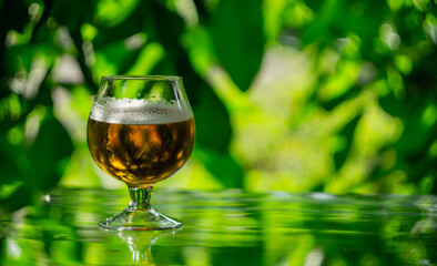 glass with foamy beer on the glass against the background of leaves