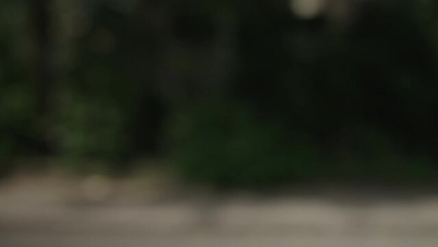 Slow motion out of focus driving plate side view of city with lot of trees