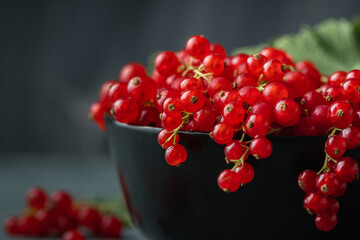 Red currant berries with green leaves in the black bowl on the black background. Fresh summer berries