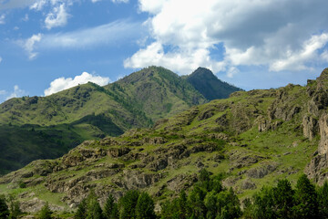 The mountains are overgrown with green trees. Pine trees, Christmas trees in the mountains. Nature of Canada. Nature of Russia. The nature of the United States.