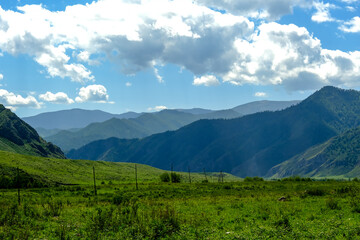 The mountains are overgrown with green trees. Pine trees, Christmas trees in the mountains. Nature of Canada. Nature of Russia. The nature of the United States.