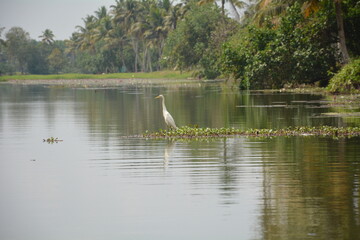 Beautiful landscapes and wildlife of India