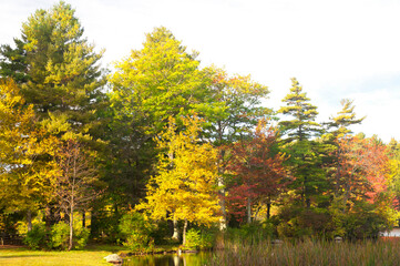 Burr Pond State Park Torrington Connecticut autumn