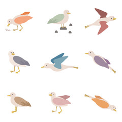 Colorful cartoon birds characters in motions