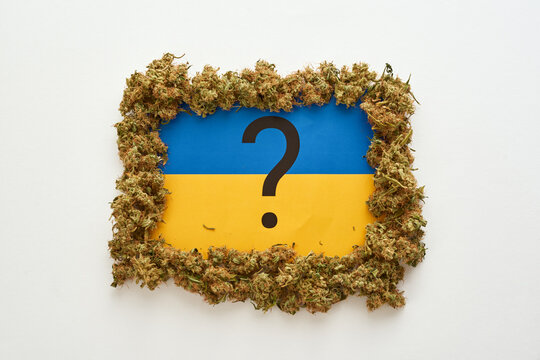Marijuana with questing mark on Ukrainian flag
