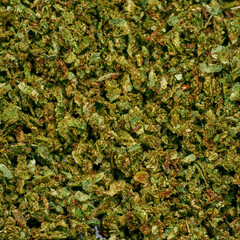 Background texture from green dry marijuana buds