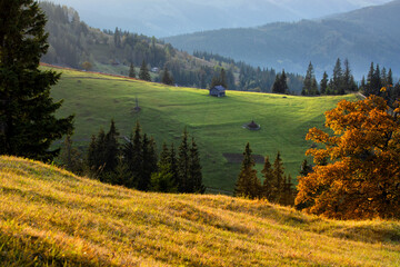 Fototapeta na wymiar Magestic sunrise in the Carpathian mountains. Natural autumn landscape.