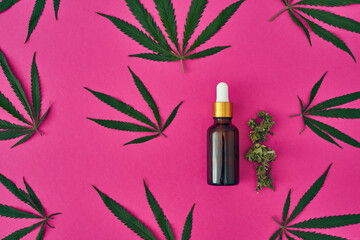 Marijuana and cannabinoid oil on pink background