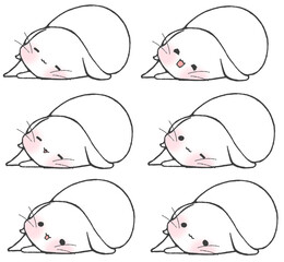 横になってこちらを見るしろうさぎ6パターン