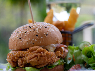 Closeup shot of a chicken burger with salad and fries or chips