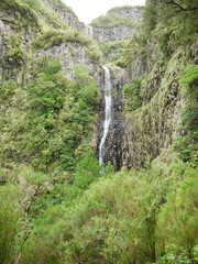Fototapeta na wymiar Wasserfall - 25 Fontes Falls - Madeira