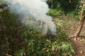 Fototapeta na wymiar Smoke from burning leaves.