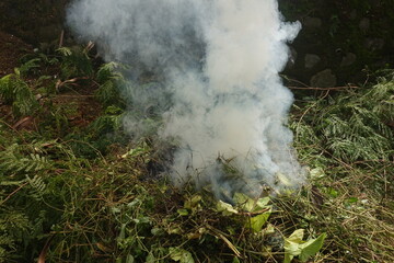 Smoke from burning leaves.
